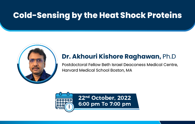 Cold Sensing by the Heat Shock Proteins